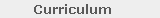 Curriculum
